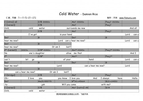 Damien rice -Cold Water C调0000