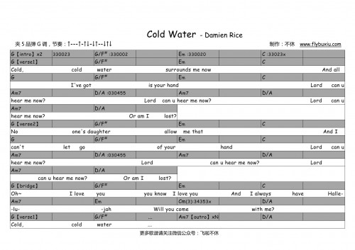 Damien rice -Cold Water G调0000
