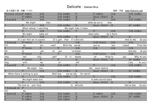 Damien rice-Delicate修正0000