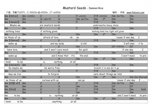 Damien rice - Mustard Seeds-0000